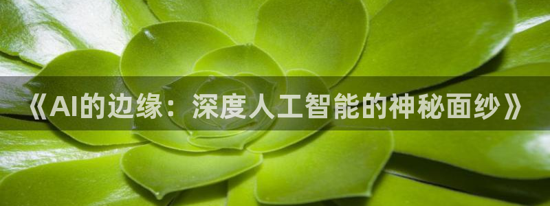 《AI的边缘：深度人工智能的神秘面纱》