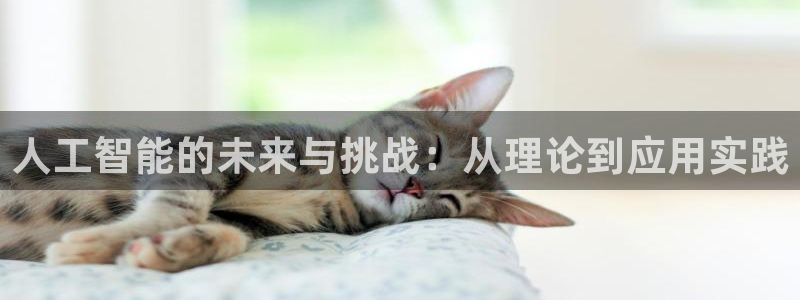 人工智能的未来与挑战：从理论到应用实践