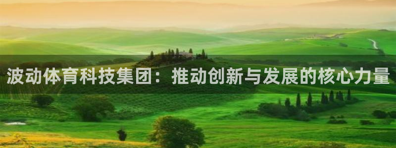 波动体育科技集团：推动创新与发展的核心力量