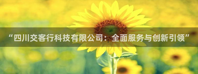 “四川交客行科技有限公司：全面服务与创新引领”