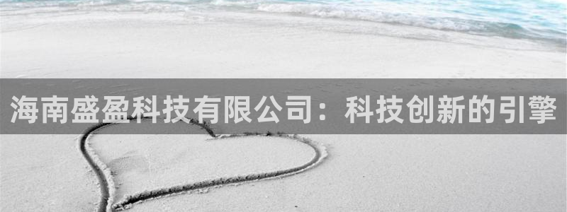 海南盛盈科技有限公司：科技创新的引擎
