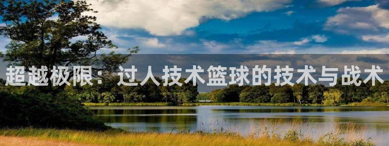 超越极限：过人技术篮球的技术与战术