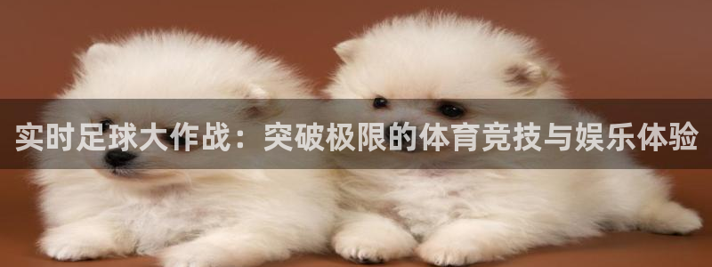 实时足球大作战：突破极限的体育竞技与娱乐体验