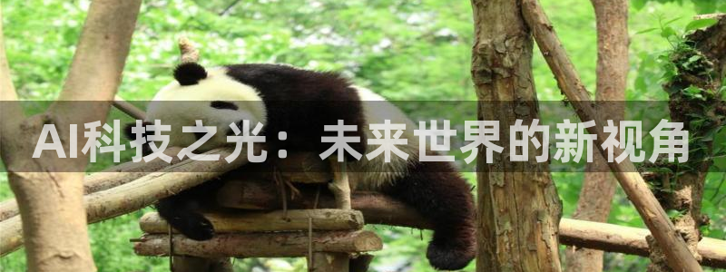 AI科技之光：未来世界的新视角