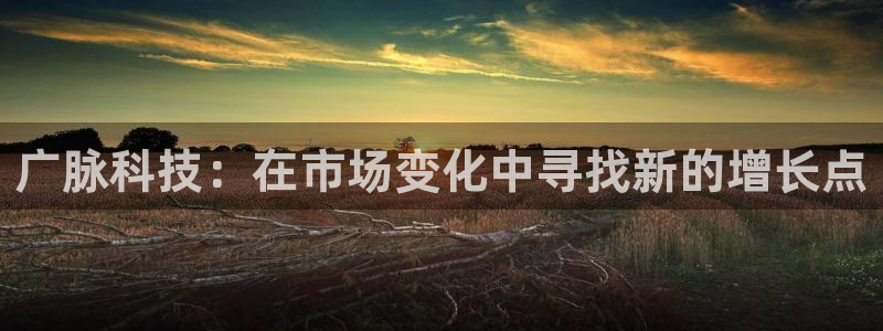 广脉科技：在市场变化中寻找新的增长点