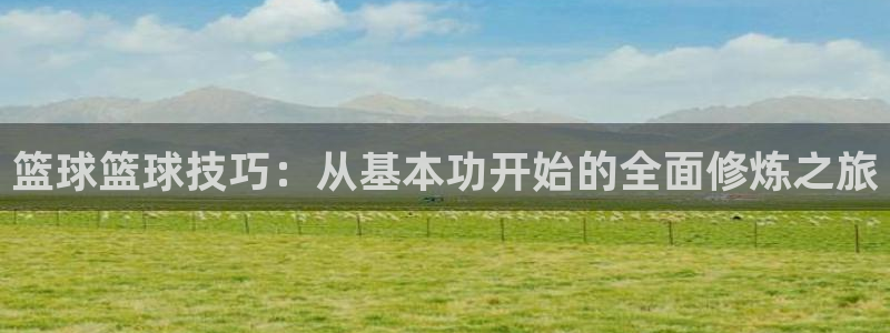 篮球篮球技巧：从基本功开始的全面修炼之旅