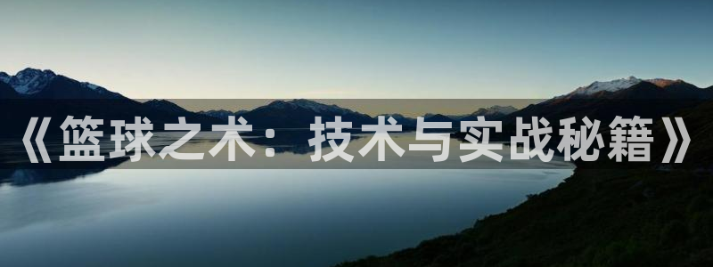 《篮球之术：技术与实战秘籍》