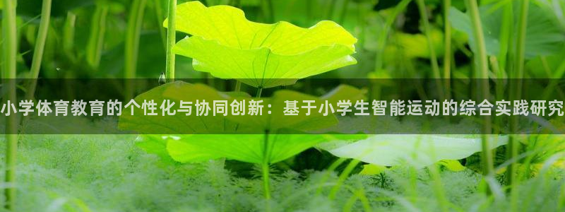 小学体育教育的个性化与协同创新：基于小学生智能运动的综合实践研究