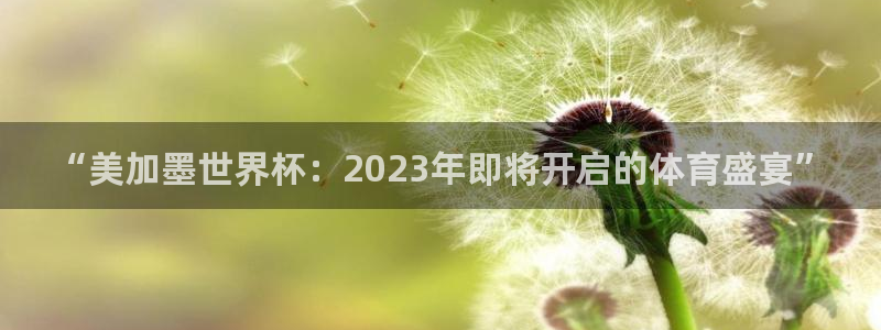“美加墨世界杯：2023年即将开启的体育盛宴”