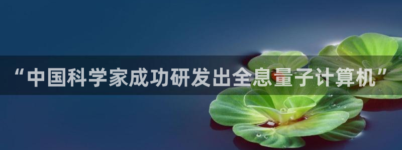 “中国科学家成功研发出全息量子计算机”