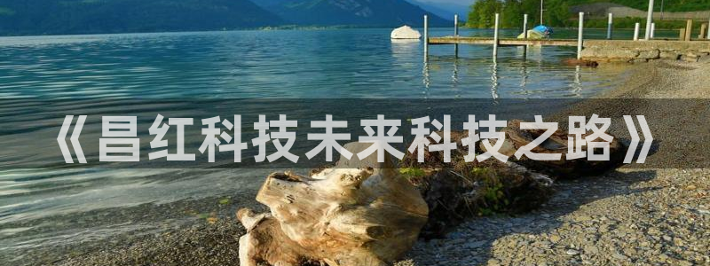 《昌红科技未来科技之路》