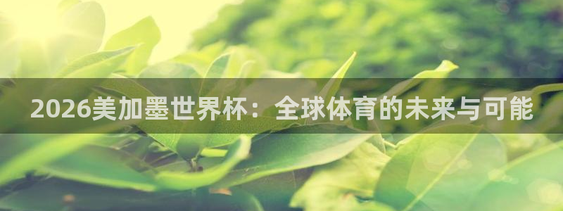 2026美加墨世界杯：全球体育的未来与可能